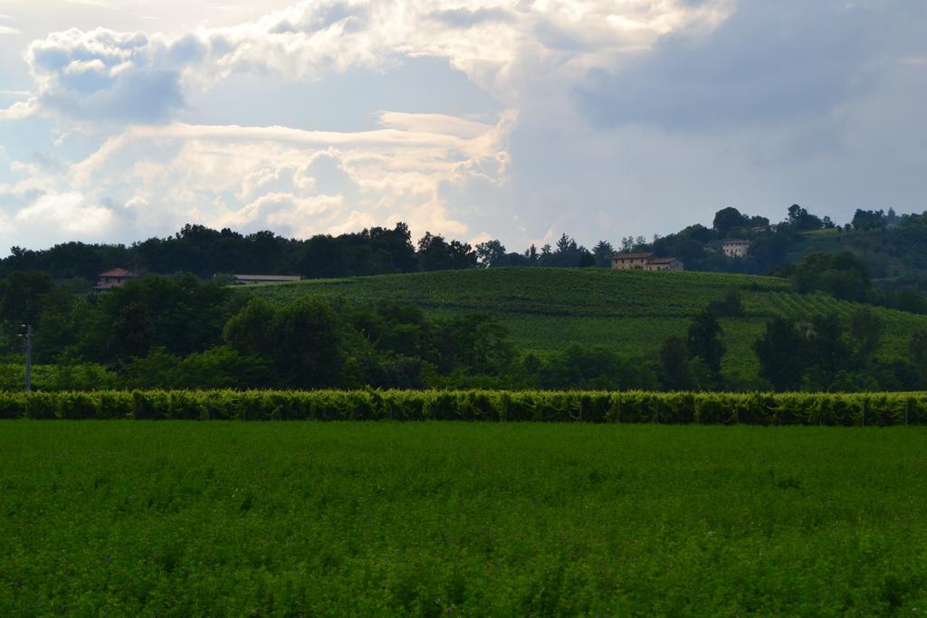 Bed And Breakfast Villa Novella Crocetta del Montello Zewnętrze zdjęcie